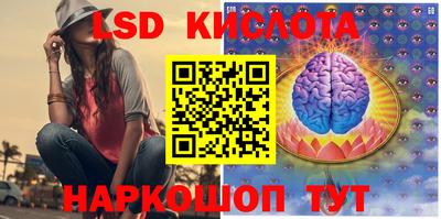шишки Донской
