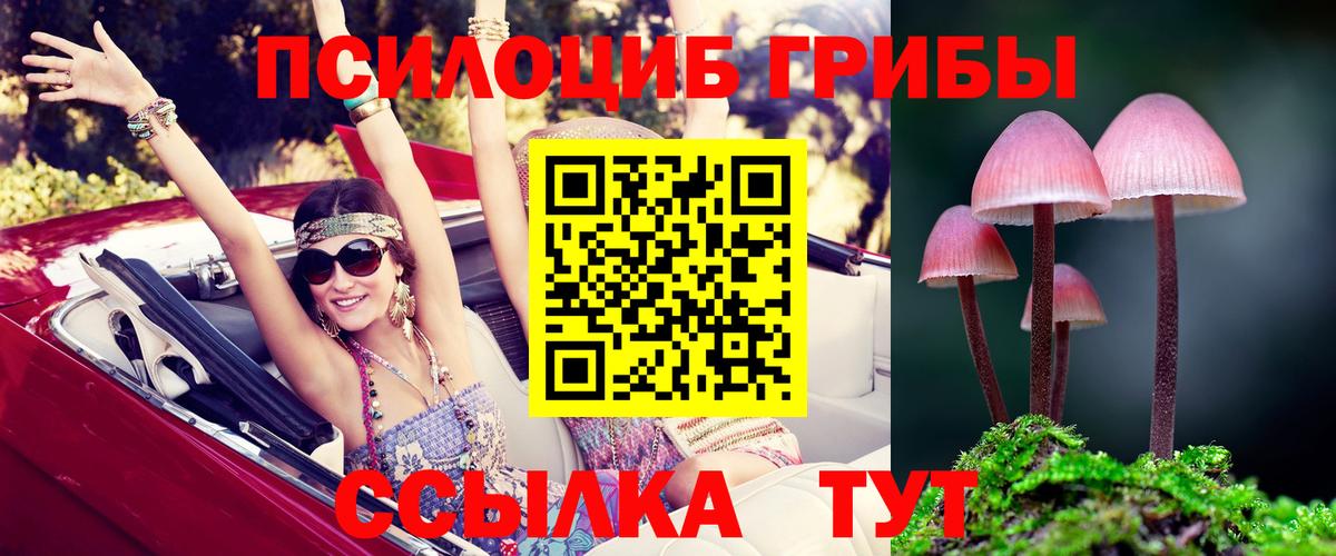 Галлюциногенные грибы Magic Shrooms  Вход с VPN  Псилоцибиновые грибы прущие грибы  Минеральные Воды 